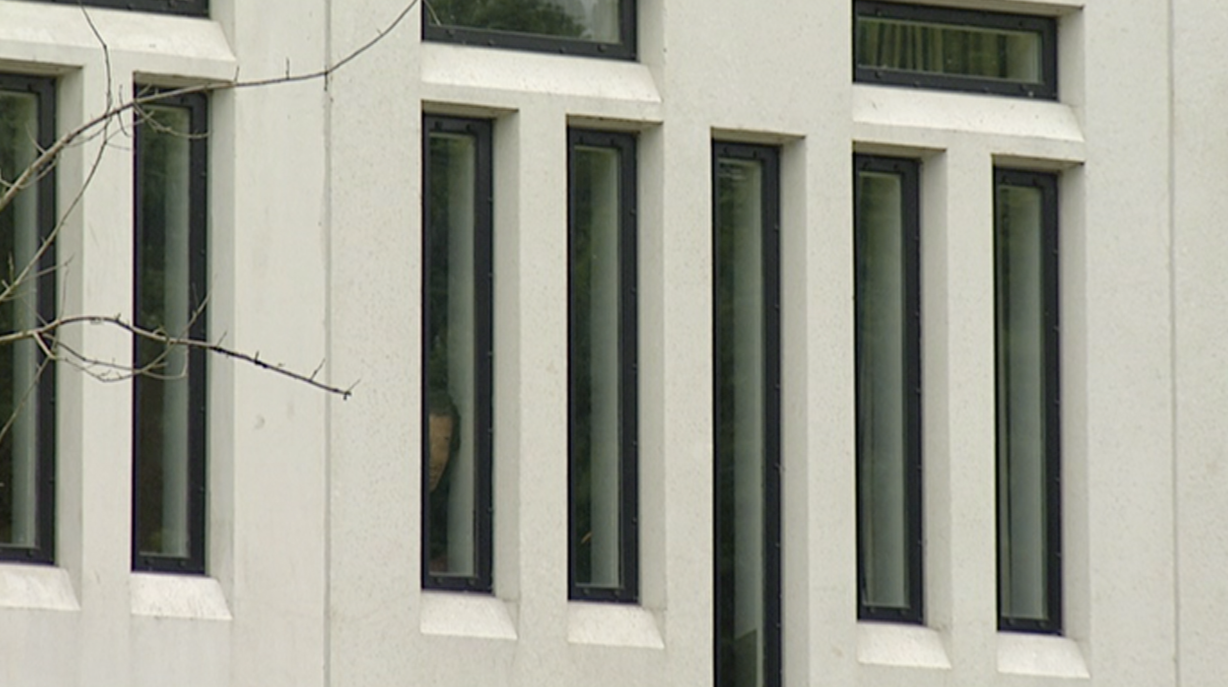 banner%20veroordeeld